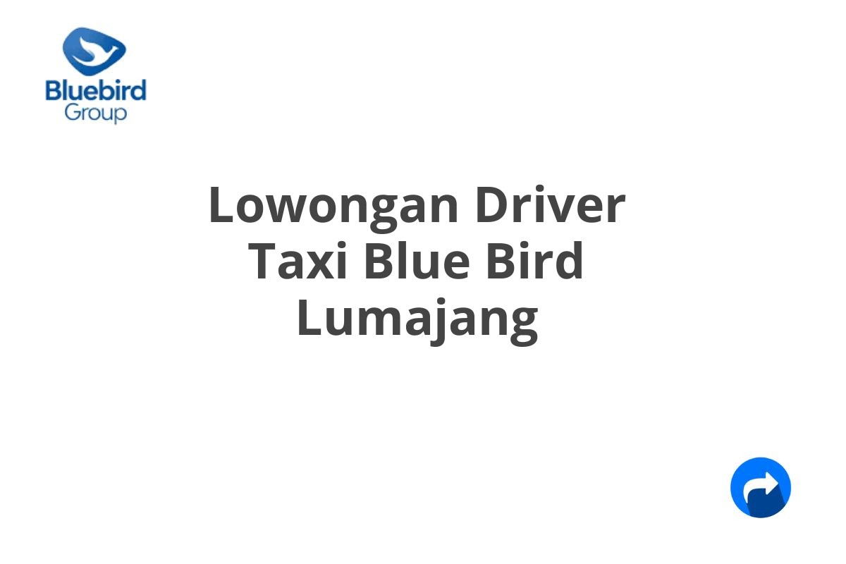 Lowongan Driver Taxi Blue Bird Lumajang